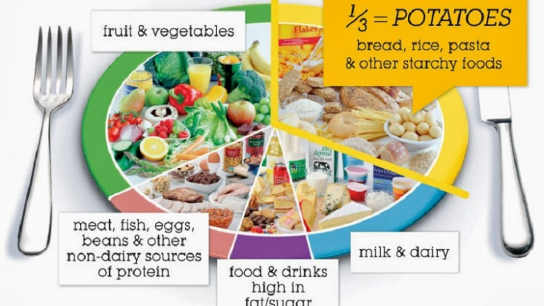 Best Dietician In India | Eat Well During Exams