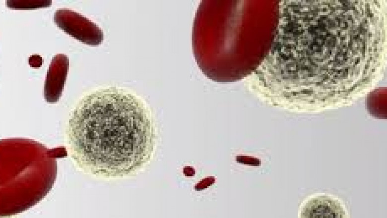 Cell Isolation/Cell Separation Market Brief Analysis of Industry by Size, and Share Forecast to 2026