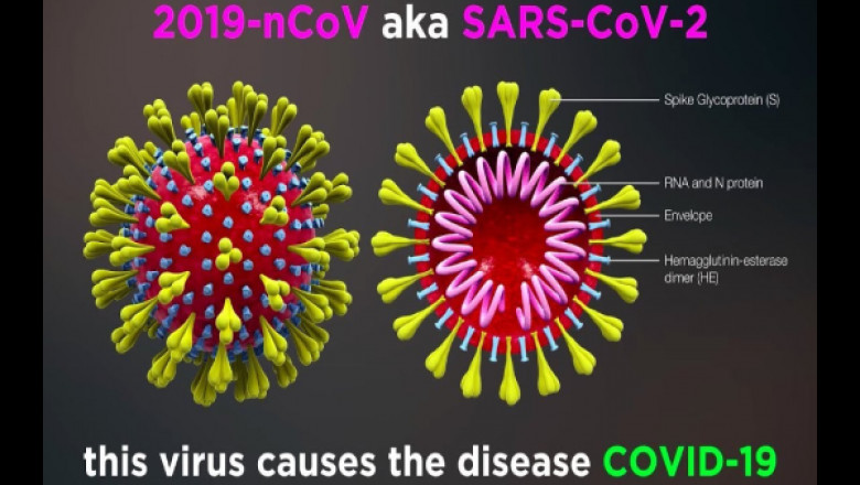 COVID-19 vs SARS: All you need to know