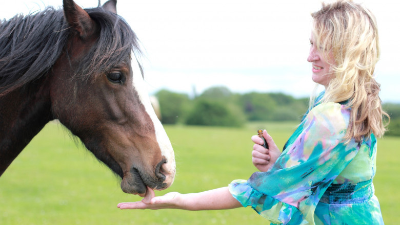 Holistic Healing for animals