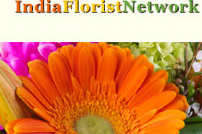 Hurry Up! Send Rakhi Gifts for Brother in Jaipur @ Cheap Prices – Avail Same Day Delivery