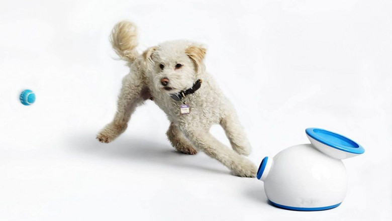 Ifetch Too