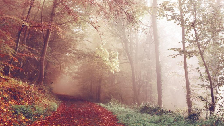 5 reallife lessons about realite virtuelle brossard