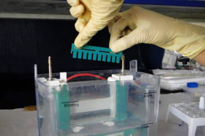 Polyacrylamide Market  Global Industry Insights, Trends, Outlook, and Opportunity Analysis, 2018-2026