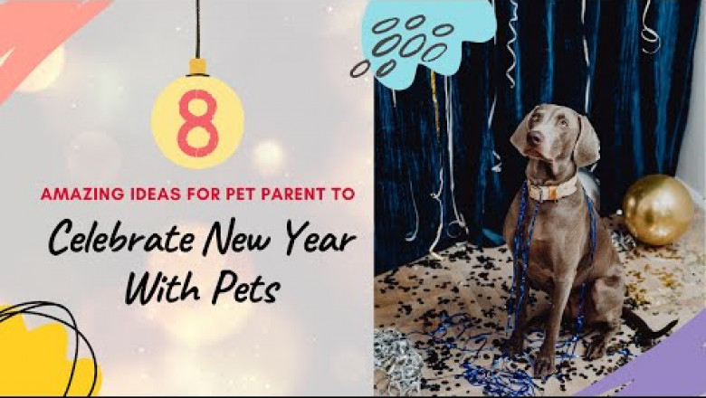 8 Amazing Ideas for Pet Parent to Celebrate New Year with Pets in 2022