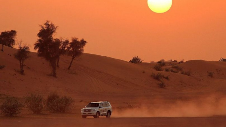 Evening Desert Safari  |  Safari  Fun