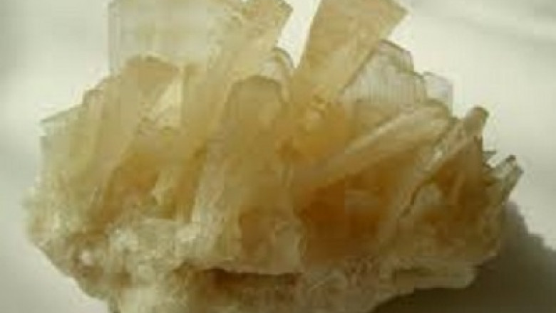 Trona Market is Estimated to Reach US$ 3.67 Billion by 2031, Grow at a CAGR 2.0% between 2021-2031
