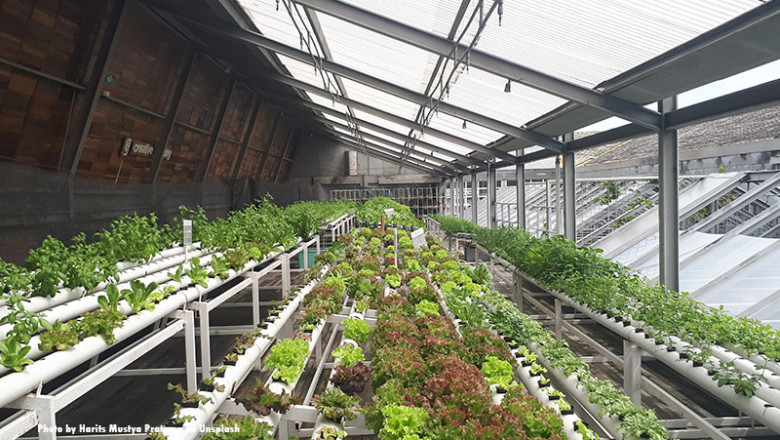 Agritech Platform Market is Expected to Witness the Highest Growth Globally in Coming Years 2020-2027