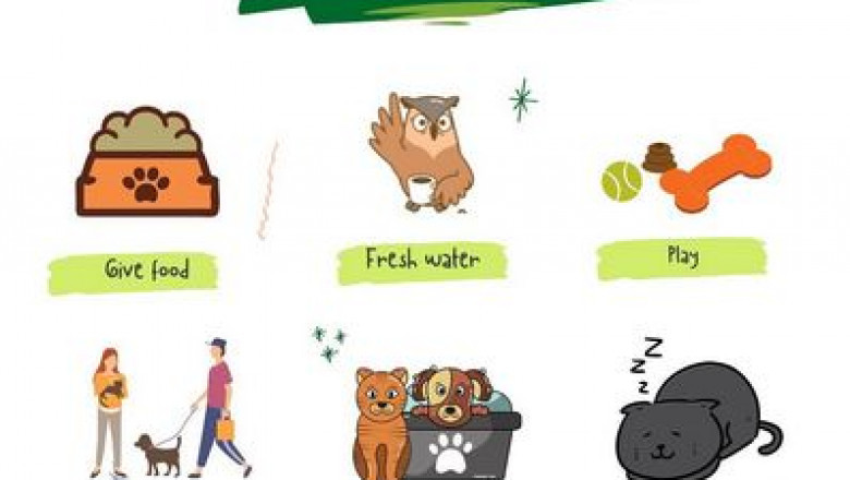 Bearded Dragons Food & Diet