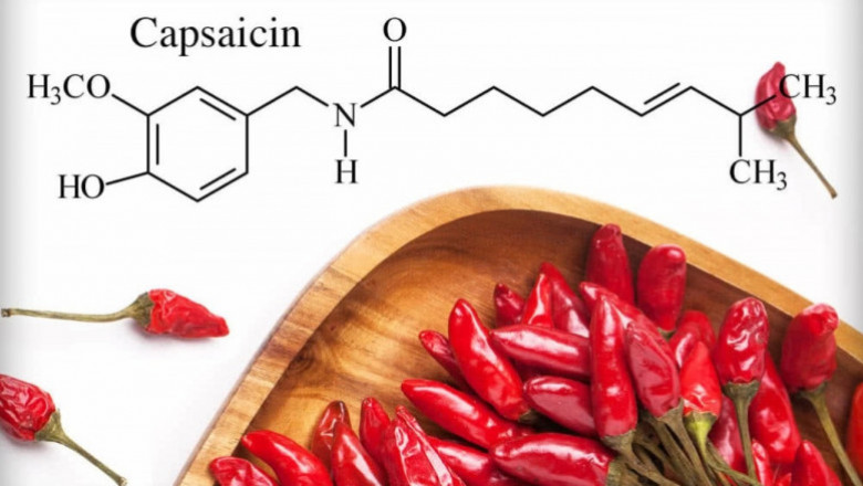 Capsaicin Market Increasing Demand, Driving Growth and Opportunity Outlook 2026