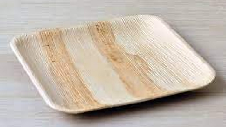 Eco Palm Leaf Plate Market Trends analysis report and Segment forecast To 2026
