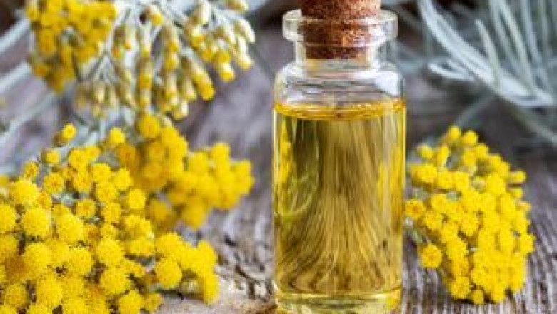 Immortelle Extract Market Increasing Demand, Driving Growth and Opportunity Outlook 2026