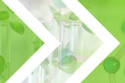 Phenol Formaldehyde Resin Market Size - Global Outlook and Forecast 2021-2027