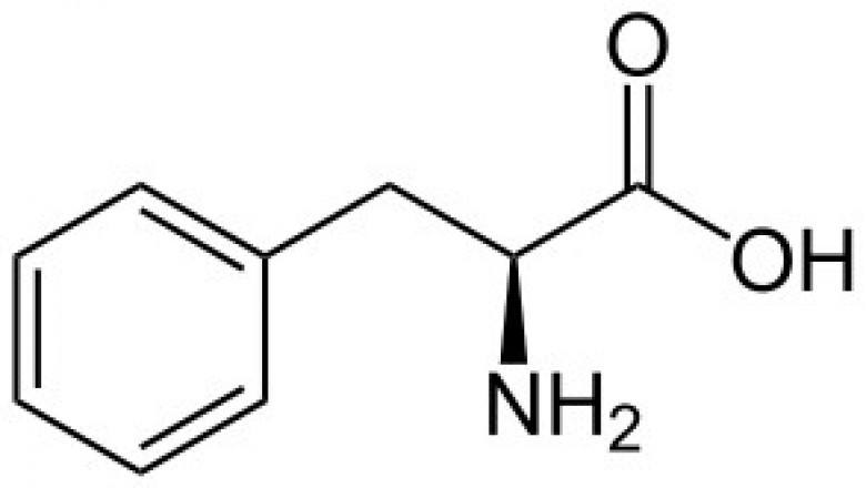 Phenylketonuria (PKU) Market Statistical Analysis, Key Segments, Future Opportunity and Forecast 2026