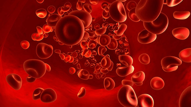 Anticoagulants Market Trends, Analysis, Share, Size, Growth and Forecast 2021-2026