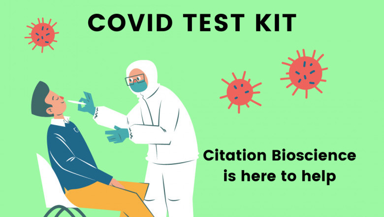 Covid 19 Tests Are On The Way: At Home Covid 19 Test Kit
