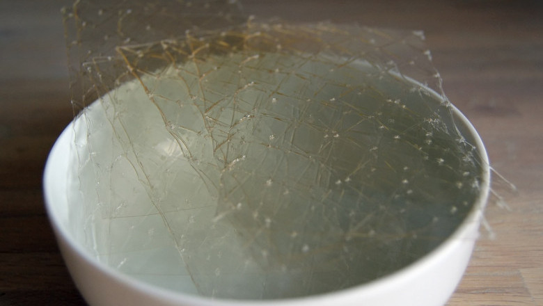 Gelatin Market Statistics, Trends, Key Segments, Future Opportunity and Forecast 2026