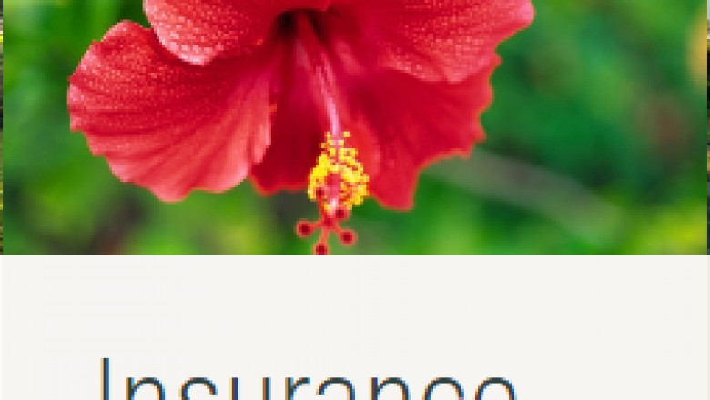 Insurance Consulting Big Island