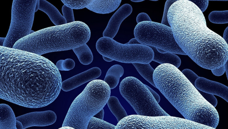 Microbiome Sequencing Services Market Size, Share, Report Analysis, Industry Trends, Growth and Forecast 2021-2026