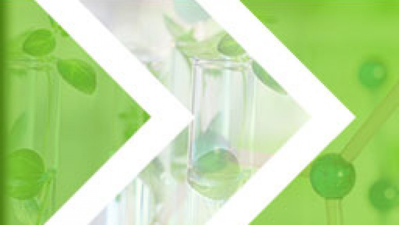 1,6-Dichlorohexane Market Size - Global Outlook and Forecast 2021-2027