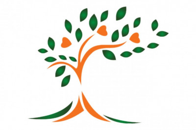 Ayurvedic Immunity Booster Products