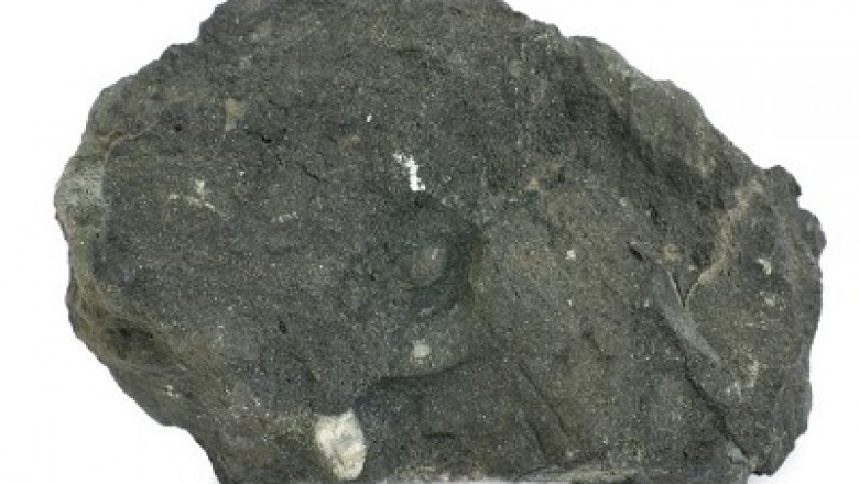 Hydroxyapatite Market Size, Share | Global Industry Analysis Report and Forecast 2023 | TechSci Research