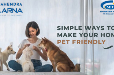 Simple Ways To Make Your Apartment Pet Friendly