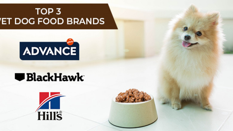 Top 3 Wet Dog Food Brands