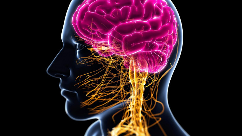 Advances for Tourette Syndrome, Alzheimer's Disease, Pain Management, Autism Spectrum Disorder & Epilepsy from Proprietary Compounds: SciSparc Ltd. (NASDAQ: SPRC)