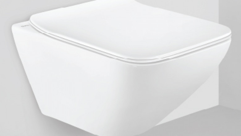 Be Treated Like Royalty With A Wall Mounted Water Closet.