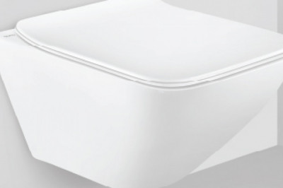 Be Treated Like Royalty With A Wall Mounted Water Closet.