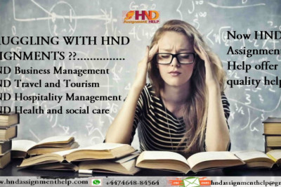 business environment assignment