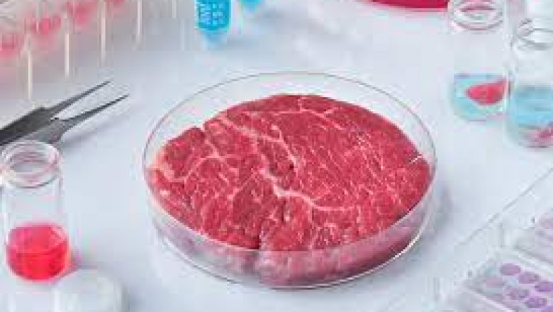 Global Cultured Meat Market Report-Forecasts to 2027