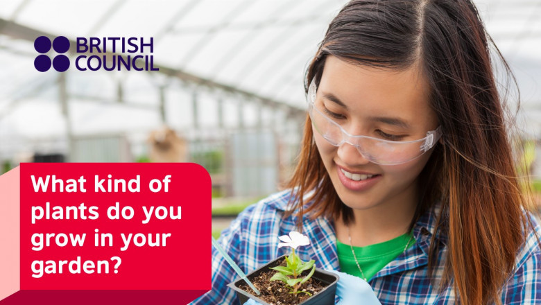 Is the IELTS certificate without exam verifiable on the official website?