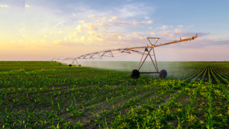 Smart Plantation Management Systems Market 2021 By Top Companies Like Deere And Company (US), Netafim Ltd (Israel), Phytech, Ltd (Israel).