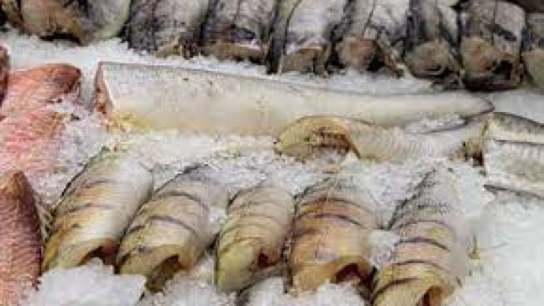 Wholesale Seafood Online: Fresh, Delicious, and Affordable
