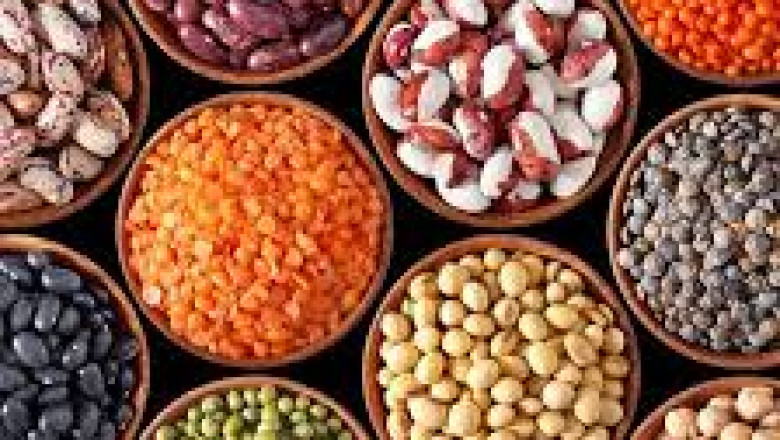 Global Plant-Based Ingredient Market Analysis by Current Industry Status and Growth Opportunities, Target Audience and Forecast to 2027