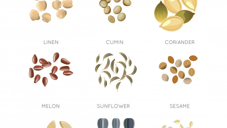 Health Benefits of Sunflower Seeds:-
