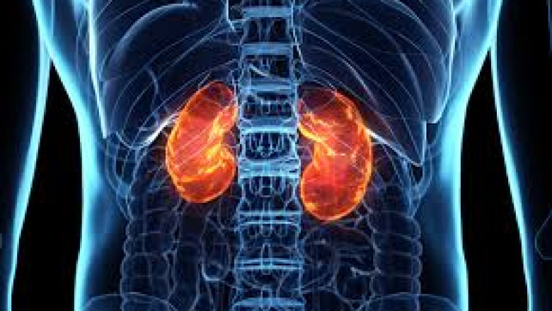 Acute Kidney Injury Treatment Market By Type, By Treatment, By End-User and By Region: Industry Analysis, Market Share, Revenue Opportunity, Competition, and Forecast 2020-2027