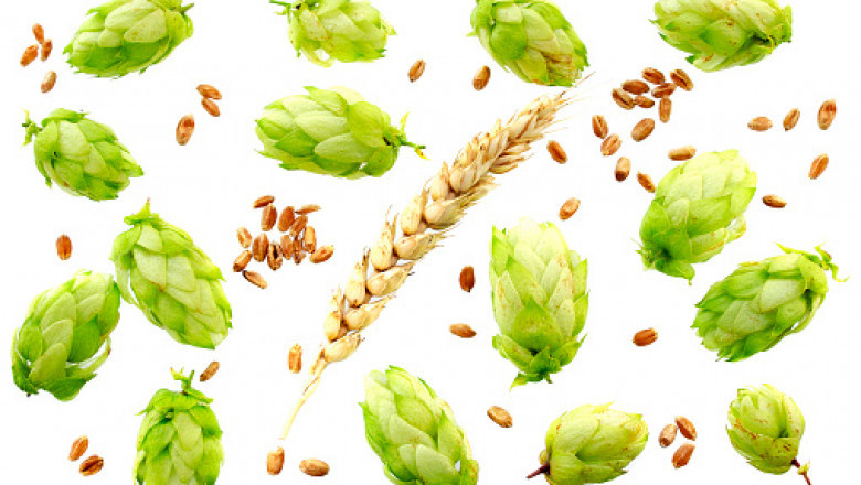 Fermentation Ingredients Market Technology Development, Demand Overview