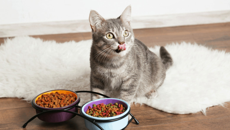 Global Cat Wet Food Market Outlook
