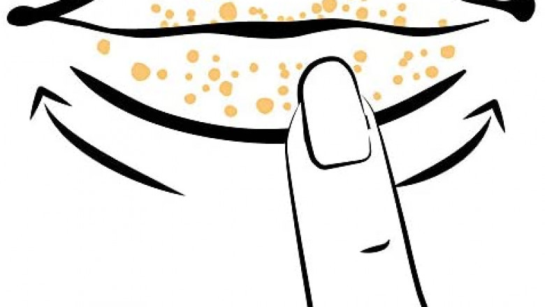 Lip Scrub Market Size, Share and Development by 2027– Top Key players like NIVEA, Givenchy, Frank Body Inc.