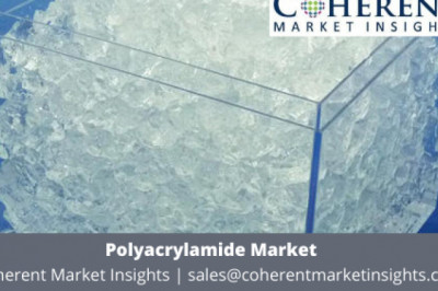 Because Of Its Increasing Use In Paper Manufacturing, Wastewater Treatment, And Oil Recovery Operations, Anionic Is A Dominant Segment Of The Polyacrylamide Market