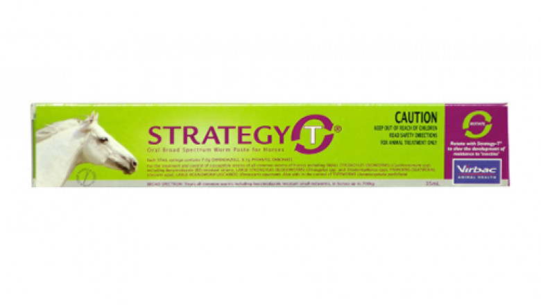 Buy Strategy T Paste For Horses 35 ML | DiscountPetCare