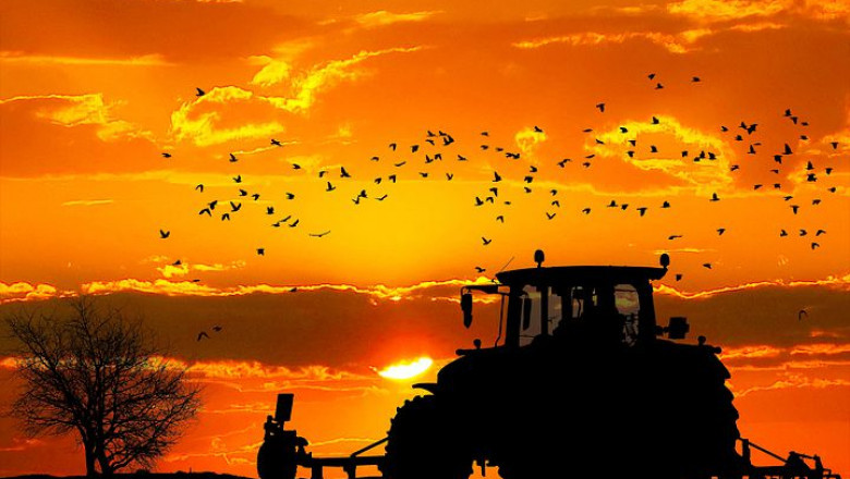 Farm Implements Market | Global Regional Analysis Forecast 2028