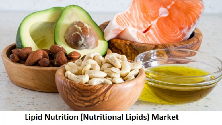 Global Lipid Nutrition (Nutritional Lipids) Market 2027 With Top Key Players Like- Philips Lighting, Everlight Electronics, Argus Controls Systems