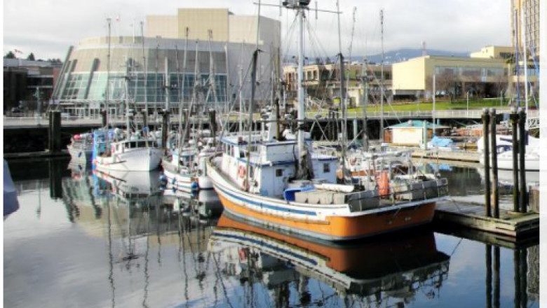 Icbc Claims Courtenay