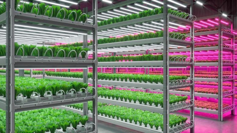 Indoor Farming Market 2027 Upcoming growth and trend in Agriculture industry