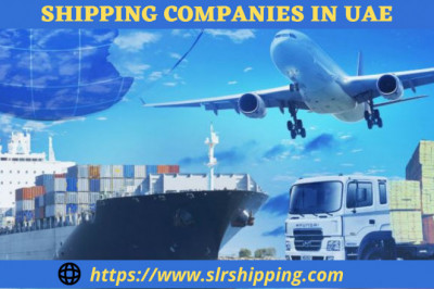 Questions to ask While Choosing the Best Shipping Companies in UAE