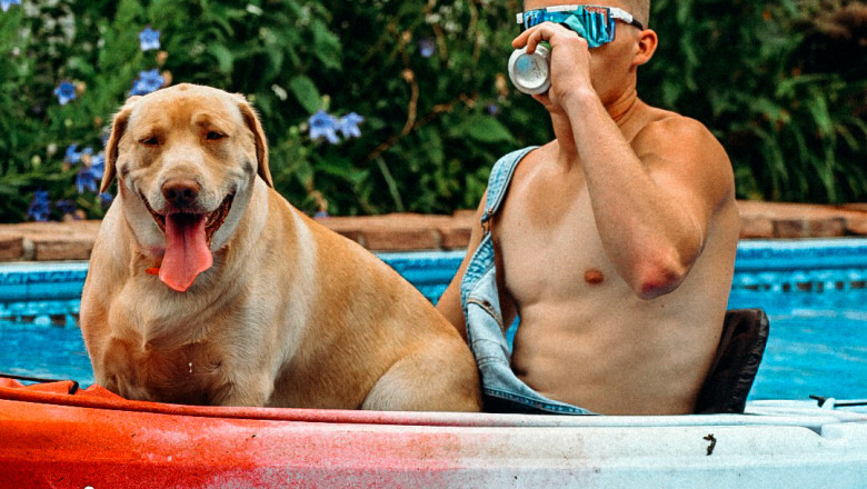 The Essential Guide to Pit Viper Sunglasses